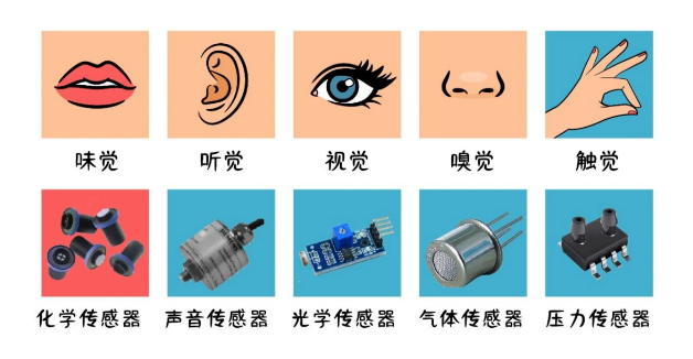 我们身边的“电五官”